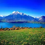 Thun Alps Scenic Views And Concierge By Swisshut * Sigriswil