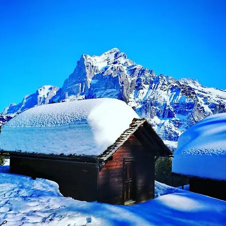 Thun Alps Scenic Views And Concierge By Swisshut Chalet *