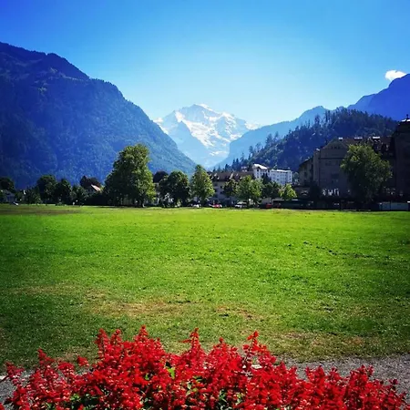 Lake Thun Alps Scenic Views And Concierge By Swisshut Sigriswil