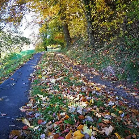 Lake Thun Alps Scenic Views And Concierge By Swisshut Sigriswil