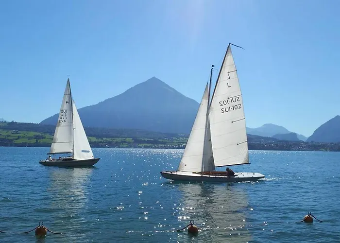 Thun Alps Scenic Views And Concierge By Swisshut Alpehytte