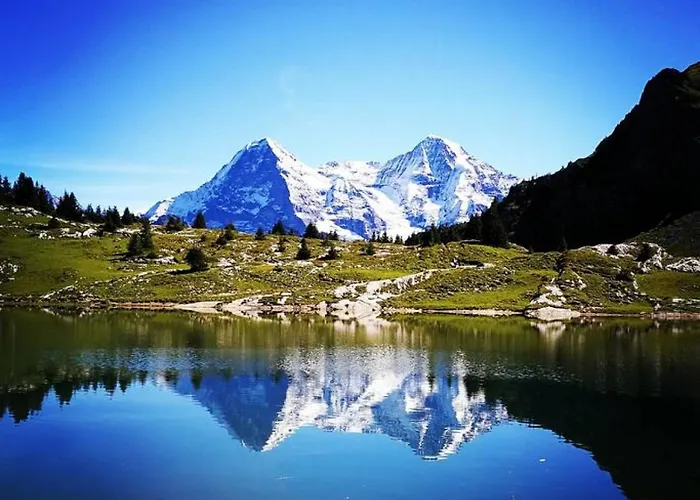 Alpehytte Thun Alps Scenic Views And Concierge By Swisshut Sigriswil