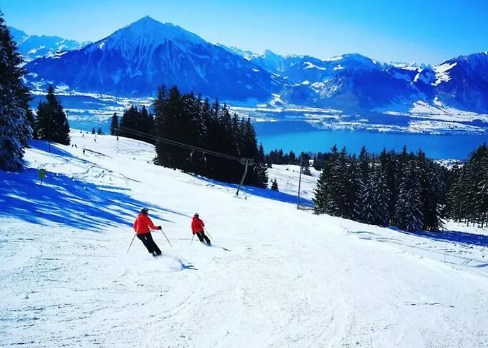 Thun Alps Scenic Views And Concierge By Swisshut Alpehytte Sigriswil