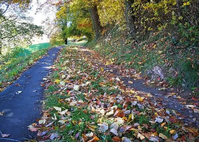 Thun Alps Scenic Views And Concierge By Swisshut Sigriswil