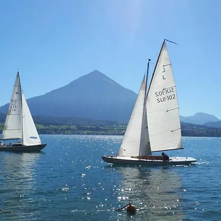 Lake Thun Alps Scenic Views And Concierge By Swisshut Chalet