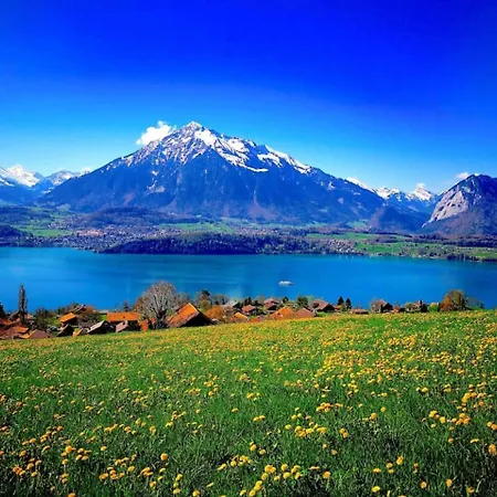 Lake Thun Alps Scenic Views And Concierge By Swisshut * Sigriswil