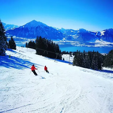 Lake Thun Alps Scenic Views And Concierge By Swisshut Chalet Sigriswil