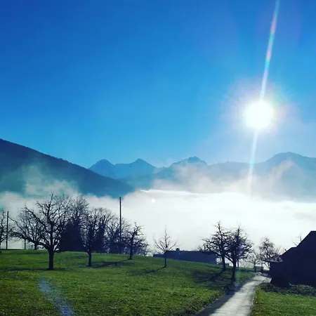 Lake Thun Alps Scenic Views And Concierge By Swisshut *