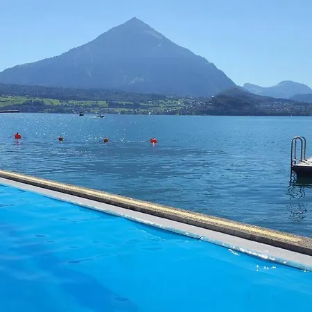 木屋 Lake Thun Alps Scenic Views And Concierge By Swisshut